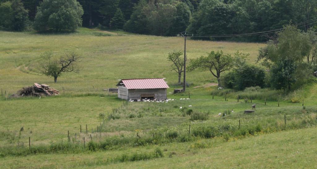 Gites Du Kreuzweg Le Hohwald Exterior foto